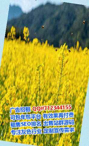北京助孕影视经营部